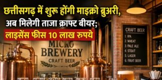 छत्तीसगढ़ में माइक्रो ब्रुअरी को मंजूरी, अब मिलेगी ताजा क्राफ्ट बीयर