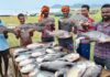 ‘नीली क्रांति’ से समृद्धि की ओर: मछली पालन बना ग्रामीण विकास और रोजगार का नया आधार