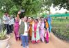 दिल्ली में मेगा वृक्षारोपण अभियान की शुरुआत, 70 लाख पौधे लगाने का लक्ष्य