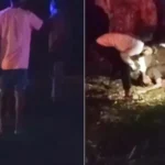 सड़क हादसे के बाद उग्र भीड़ का डायल-112 टीम पर हमला, आरक्षक से मारपीट