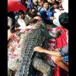 130 साल तक गांव का संरक्षक रहा ‘गंगाराम’, मौत पर 500 से ज्यादा ग्रामीणों ने दी अंतिम विदाई