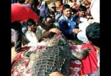130 साल तक गांव का संरक्षक रहा ‘गंगाराम’, मौत पर 500 से ज्यादा ग्रामीणों ने दी अंतिम विदाई