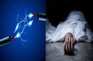 20240729100056_bijli