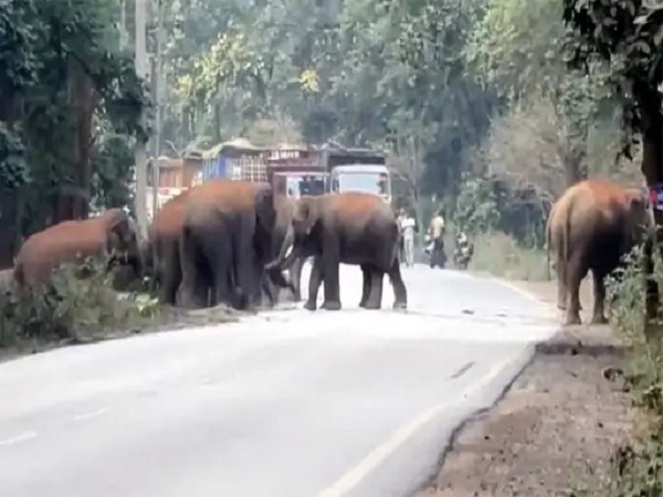 20260701114522_hathi