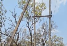 दशकों का अंधेरा हुआ दूर: नियद नेल्लानार योजना से नारायणपुर के वनांचल गांवों में पहुंची बिजली