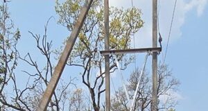 दशकों का अंधेरा हुआ दूर: नियद नेल्लानार योजना से नारायणपुर के वनांचल गांवों में पहुंची बिजली