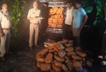 ऑपरेशन ‘आघात’ में जशपुर पुलिस की बड़ी सफलता, सवा करोड़ रुपये का 552 किलो गांजा जब्त