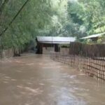 असम में बाढ़ का कहर जारी, मृतकों की संख्या बढ़कर 61 हुई