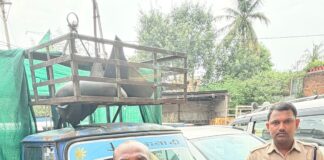रायपुर में वाहन चोर गिरफ्तार, चोरी का मालवाहक ऑटो बरामद
