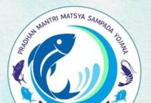 पीएम मत्स्य संपदा योजना से मछुआरों को मिलेगा मुफ्त बीमा, अनुदान और आर्थिक सुरक्षा