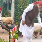 पीएम मोदी का नया इंस्टाग्राम वीडियो वायरल, जानवरों के साथ दिखा खास जुड़ाव