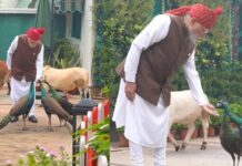 पीएम मोदी का नया इंस्टाग्राम वीडियो वायरल, जानवरों के साथ दिखा खास जुड़ाव