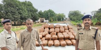ऑपरेशन आघात: जशपुर में 60 किलो गांजा जब्त, अंतरराज्यीय तस्कर गिरफ्तार