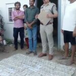 खैर लकड़ी तस्करी मामले में बड़ा खुलासा, आरोपी के घर से 81 लाख रुपये कैश बरामद